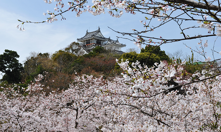 觀光景點 妙見山公園 鳴門市官方旅遊網站 Naruto